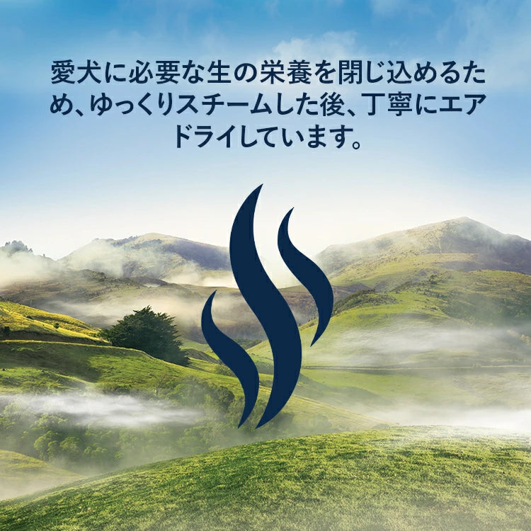 ZIWI Peak(ジウィピーク) スチーム&ドライ・ドッグフード ラム 800g