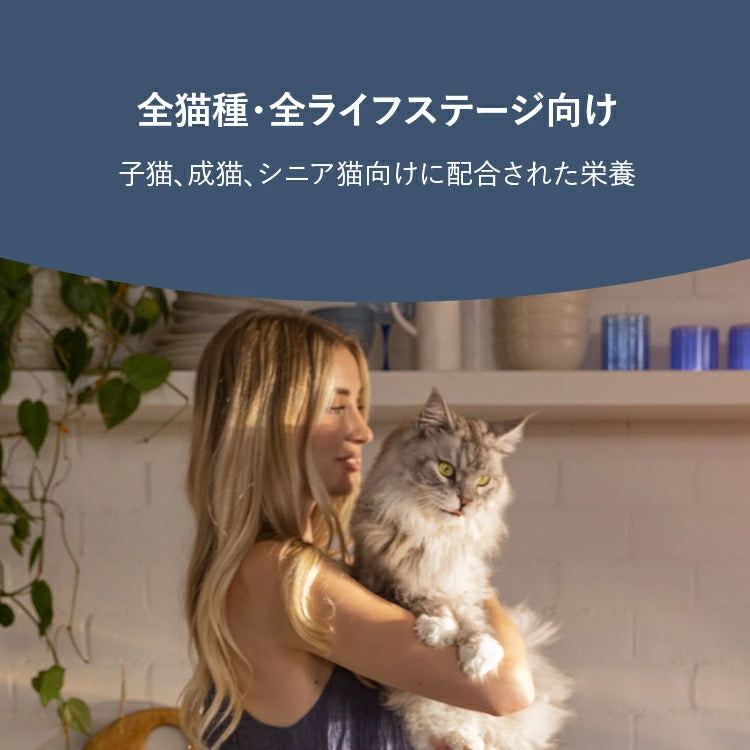ZIWI ジウィピーク スチーム&ドライ・キャットフード ビーフ 800g