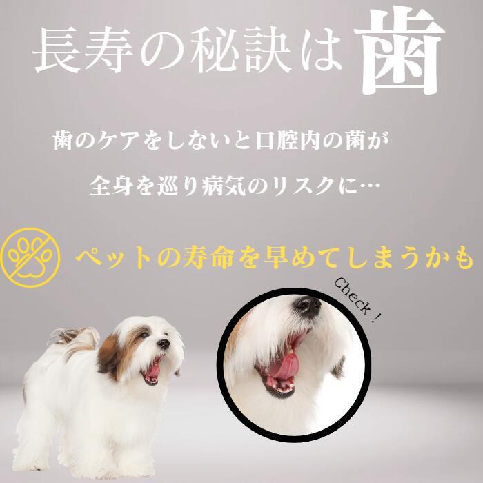 飲み水に混ぜるだけ!手軽に始めるマウスケア
KPS ハノケア マウスクリーナー オリジナル 118ml 犬猫兼用