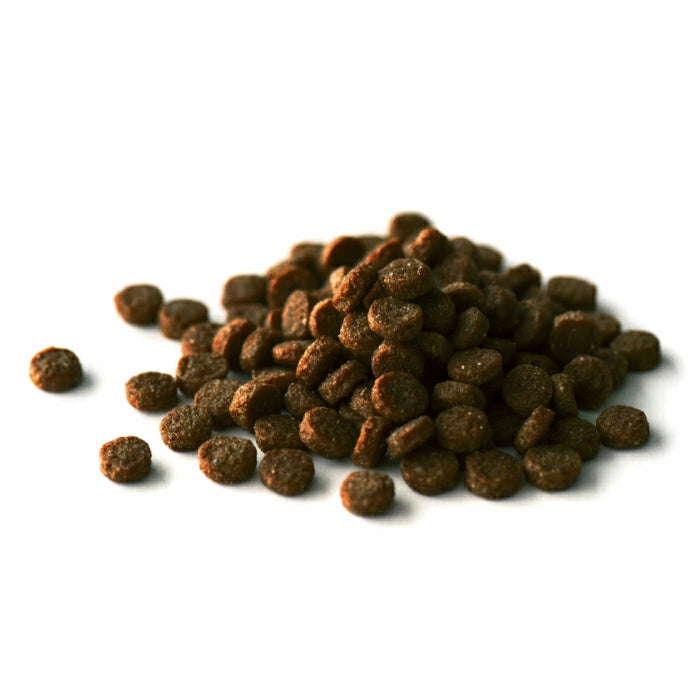 Kia Ora キアオラ ドッグフード ラム&レバー 4.5kg