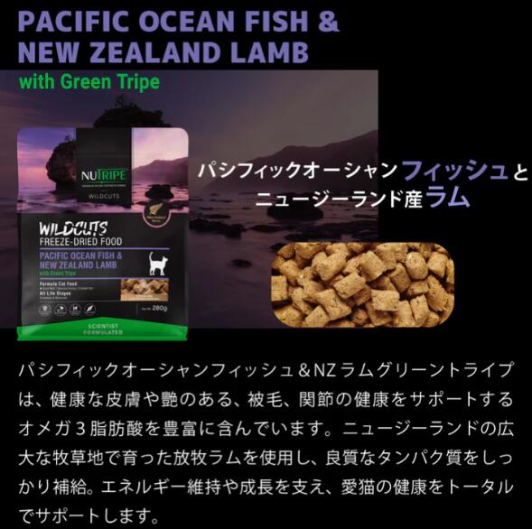 ニュートライプ ドライフード キャット ワイルドカット フリーズドライ フィッシュ&ラムwithグリーントライプ 15g