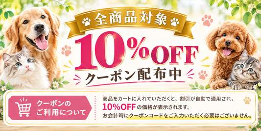 全商品対象｜10%OFFクーポン配布中