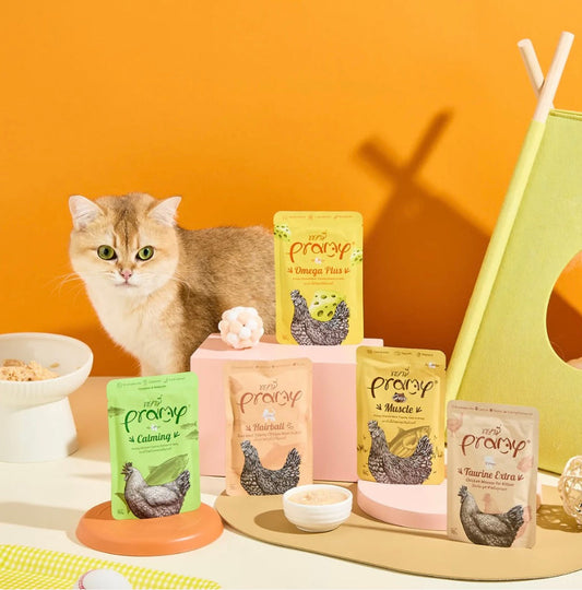 PRAMYが選ばれる4つの理由