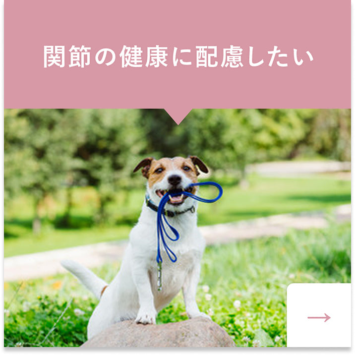 関節の健康に配慮