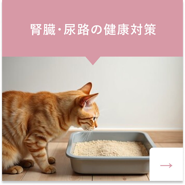 腎臓・尿路の健康に配慮