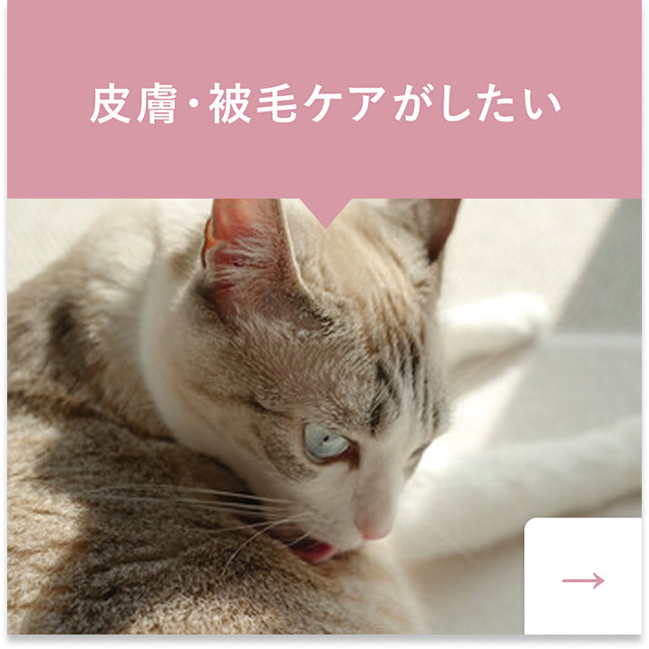 皮膚・被毛ケア