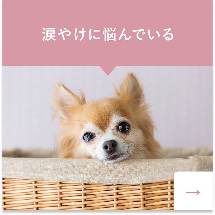 涙やけに悩んでいる