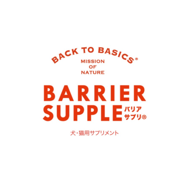 BACK TO BASICS（バックトゥベーシックス）