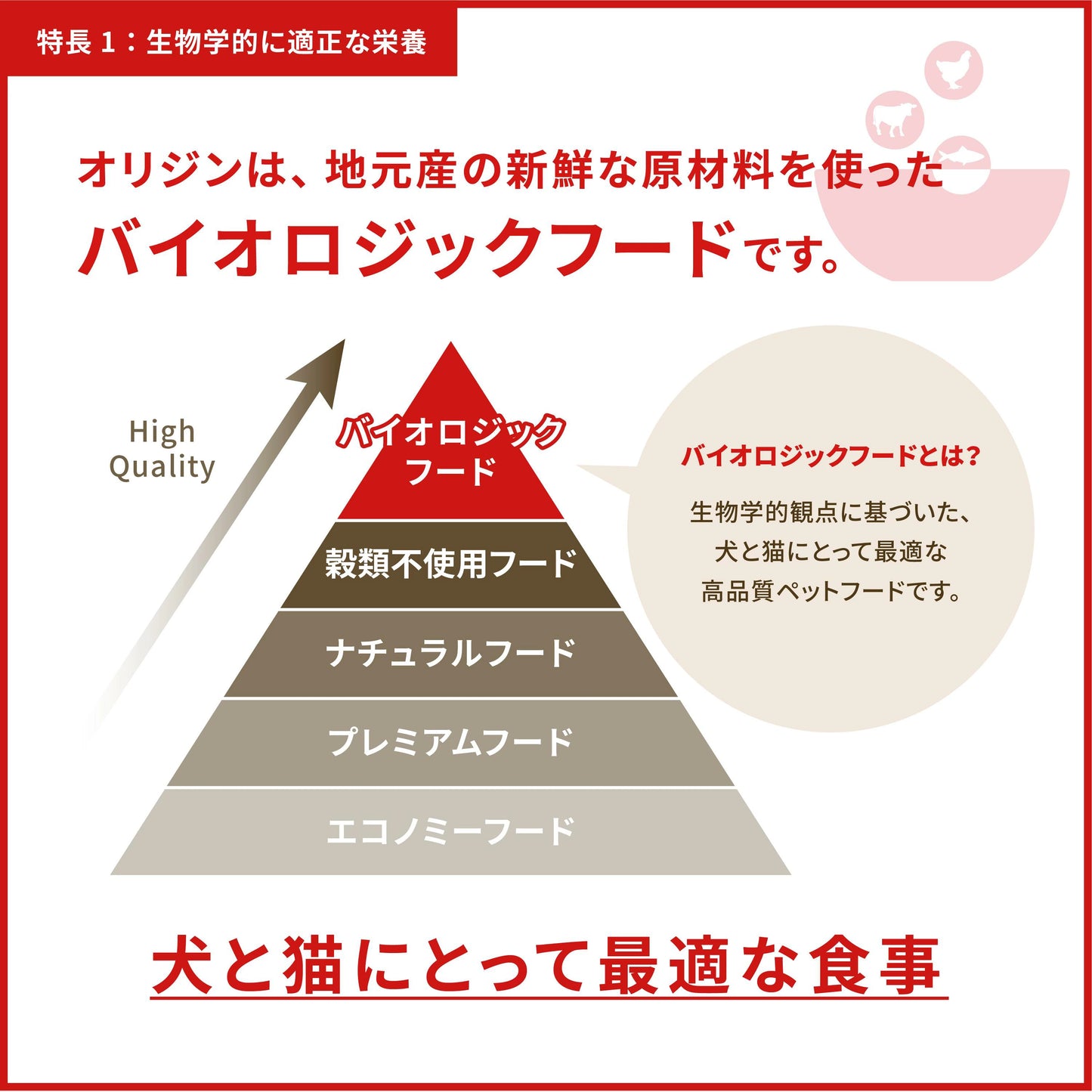 【賞味期限2026.07.24】カナダ産 ORJEN オリジン オリジナル サンプル 50ｇ 5袋セット