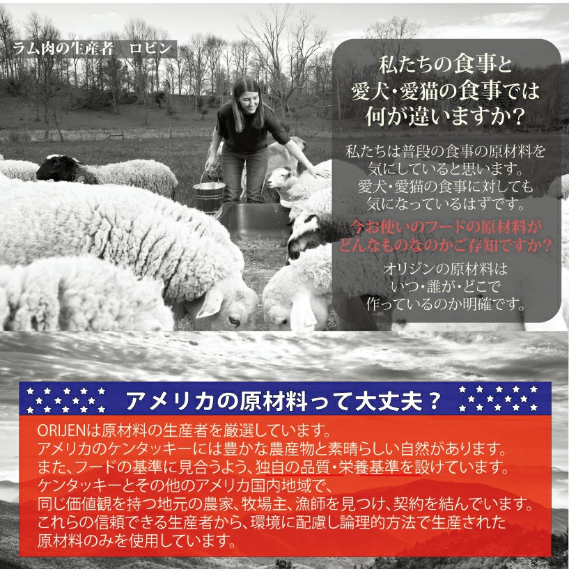 カナダ産 オリジン オリジナル キャット （旧 キャット＆キトゥン ） サンプル 30g 5袋セット