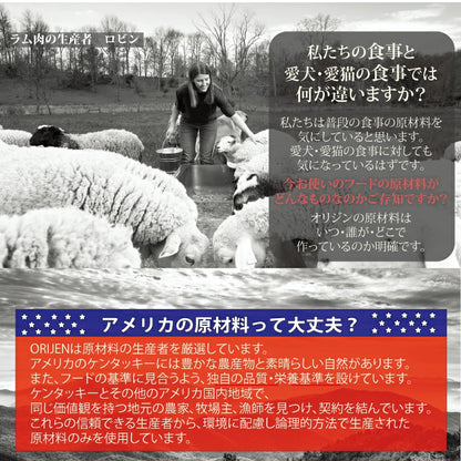 カナダ産 オリジン オリジナル キャット （旧 キャット＆キトゥン ） サンプル 30g 5袋セット