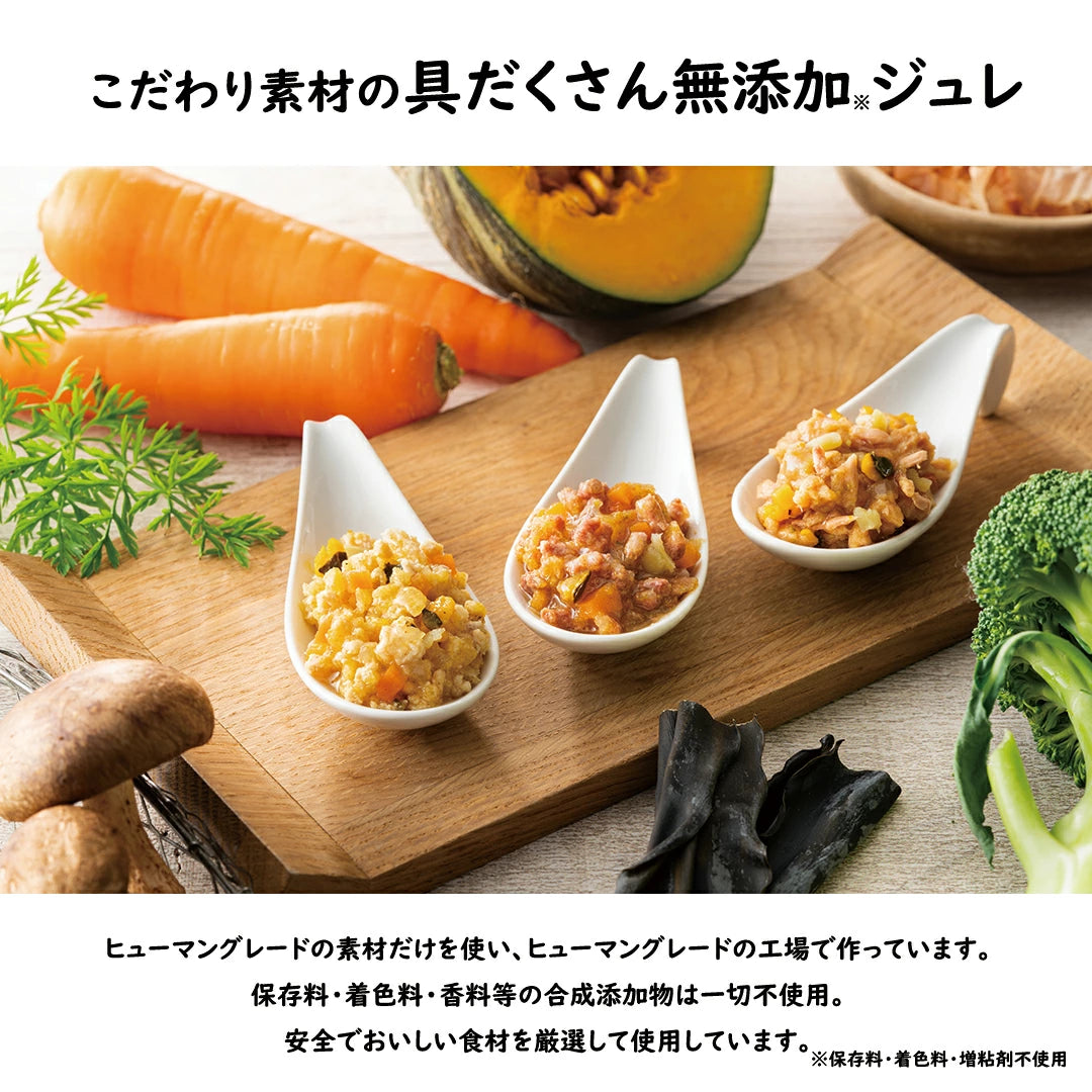 yum yum yum！ ジュレ仕立て チキン 30g×12袋