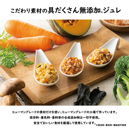 yum yum yum！ ジュレ仕立て チキン 30g×12袋