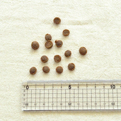 yum yum yum！ シニア＆ライト 馬肉 やわらかドライタイプ 80g