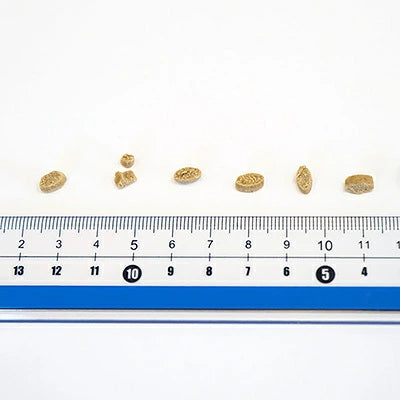 yum yum yum！ ヤムヤムヤム 健康マネジメント腎臓 1.3kg