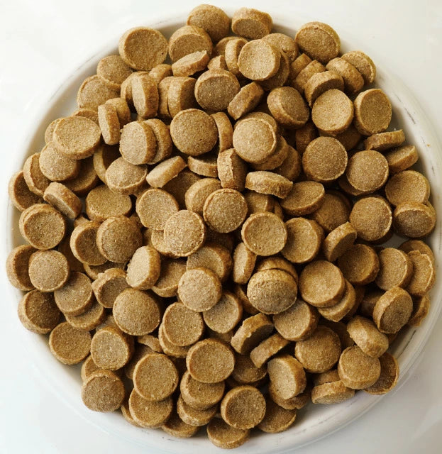 yum yum yum！ シニア＆ライト チキン ドライタイプ  50g