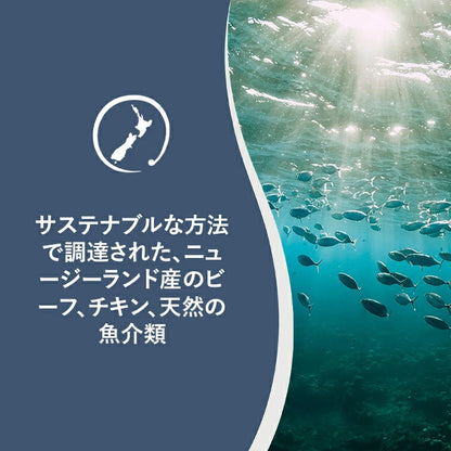 【ZIWI缶おまけ付】ジウィピーク 猫 ZIWI Peak スチーム＆ドライ・キャットフード ビーフ 2.2kg