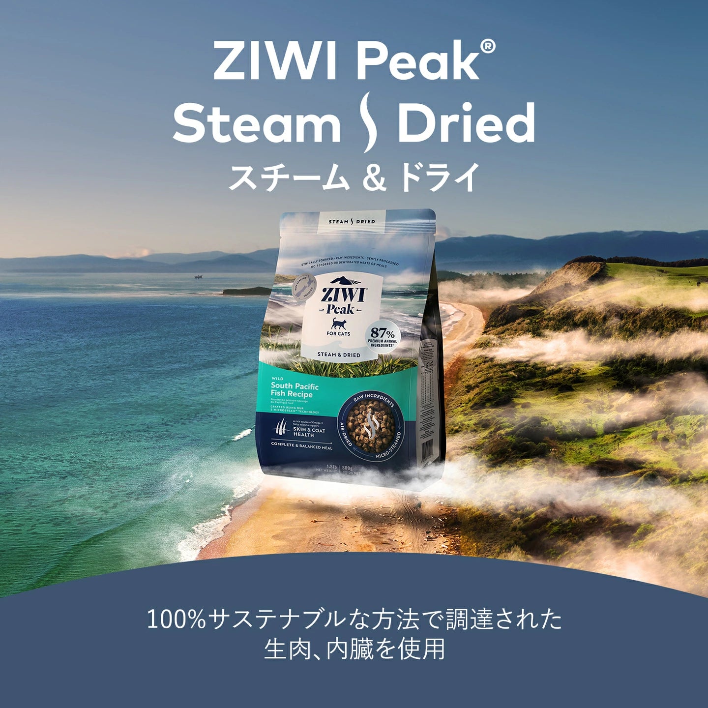 ZIWI ジウィピーク スチーム＆ドライ・キャットフード ビーフ 800g