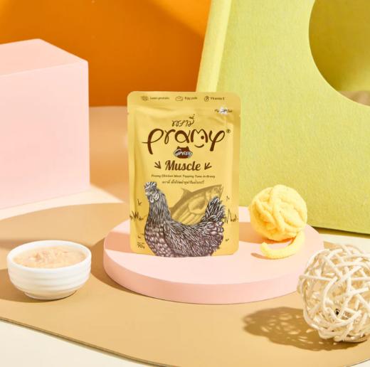 プラミー チキン・ツナグレイビー マッスル 70g 12個セット