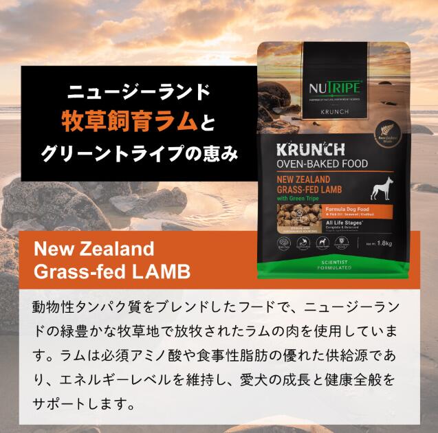 【選べる3種類】ニュートライプ 30g×3袋セット (ビーフwithグリーントライプ)(ラムwithグリーントライプ)(キングサーモン＆ツナwithグリーントライプ)