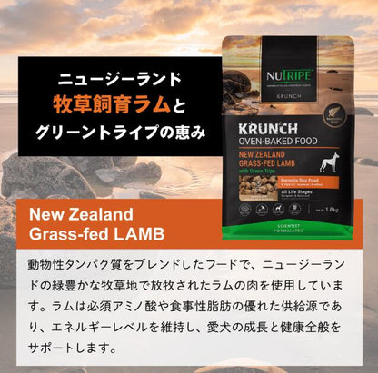 【選べる3種類】ニュートライプ 30g×3袋セット (ビーフwithグリーントライプ)(ラムwithグリーントライプ)(キングサーモン＆ツナwithグリーントライプ)