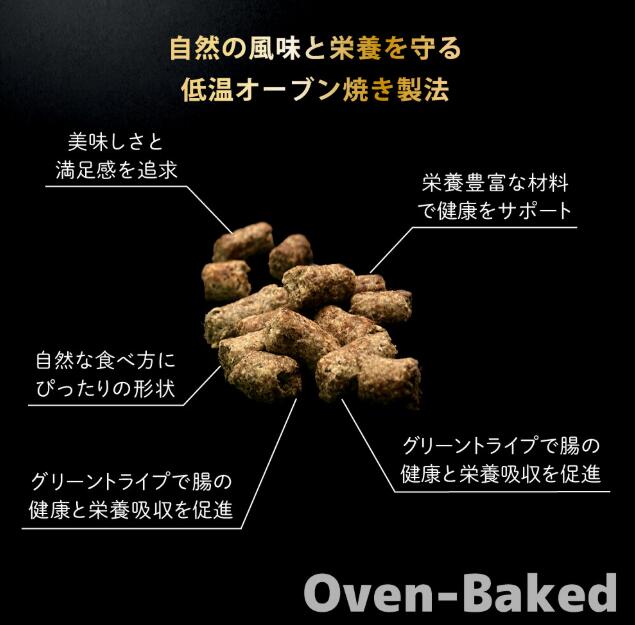 【選べる3種類】ニュートライプ 30g×3袋セット (ビーフwithグリーントライプ)(ラムwithグリーントライプ)(キングサーモン＆ツナwithグリーントライプ)