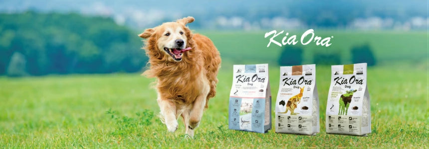 Kia Ora キアオラ ドッグフード グラスフェッドビーフ＆サーモン ラム＆サーモン 900g 2袋セット