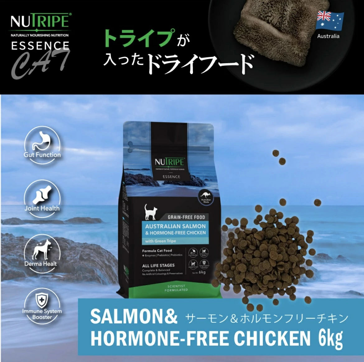 ニュートライプ 猫 キャットフード ドライ　サーモン＆チキン＆グリーントライプ 6kg