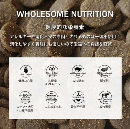 ニュートライプ 猫 キャットフード ドライ　サーモン＆チキン＆グリーントライプ 6kg