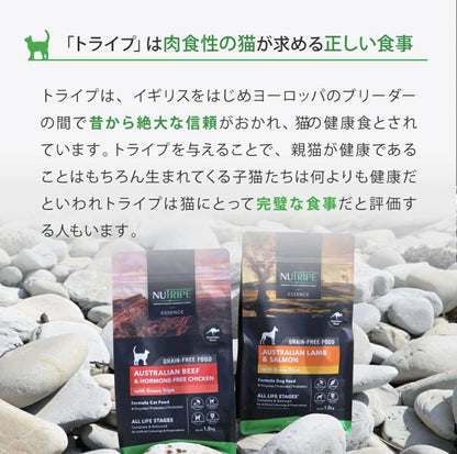 ニュートライプ 猫 キャットフード ドライ サーモン＆チキン＆グリーントライプ 1.8kg