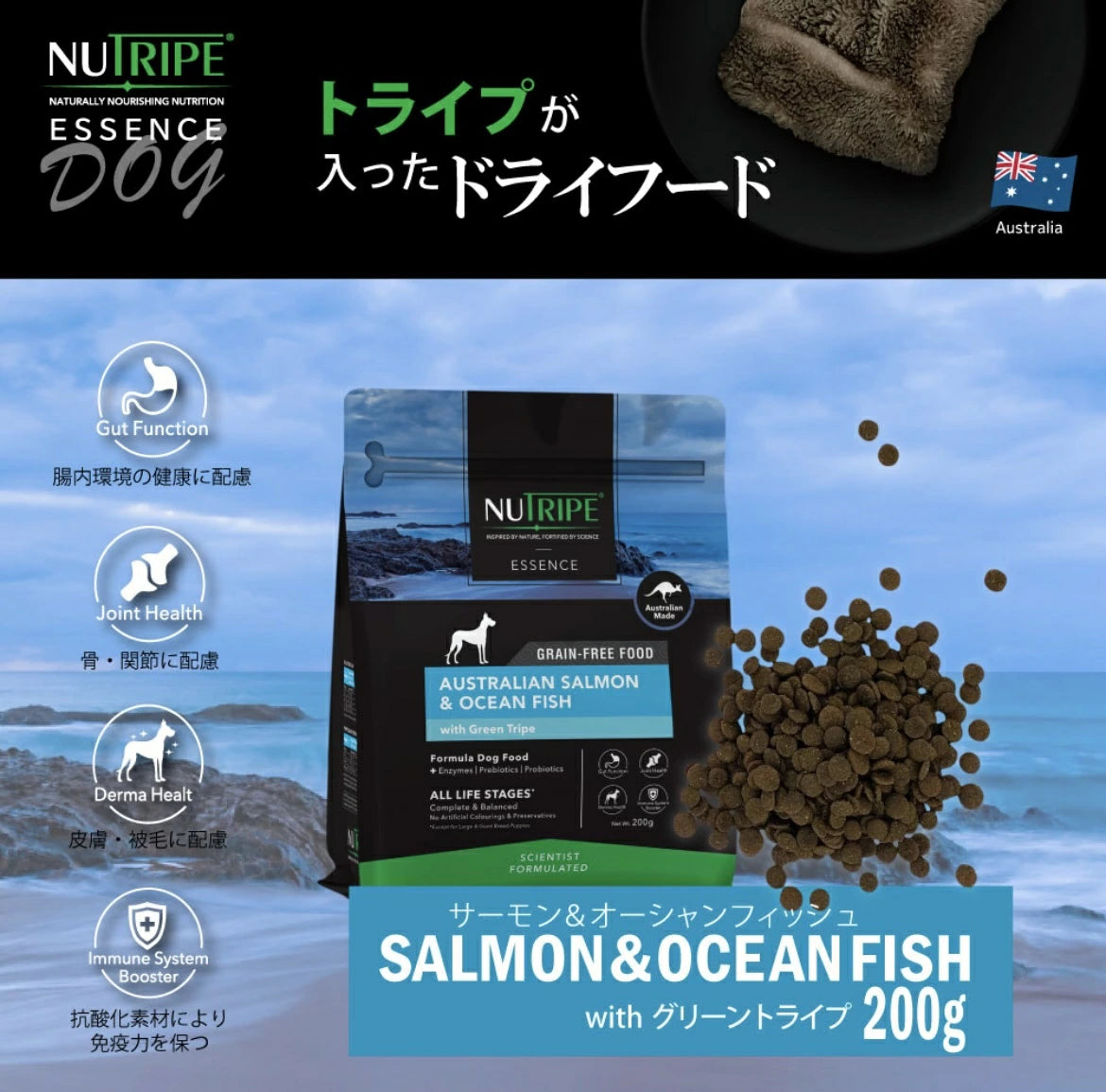 ニュートライプ ドックフード ドライ　サーモン＆フィッシュ＆グリーントライプ 200g