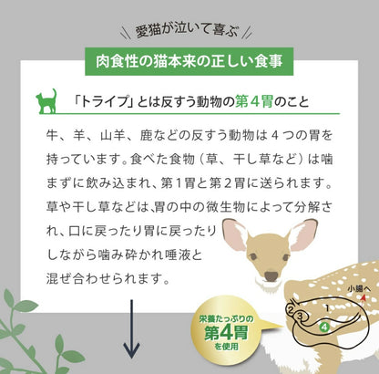 ニュートライプ 猫 キャットフード ドライ　サーモン＆チキン＆グリーントライプ 200g