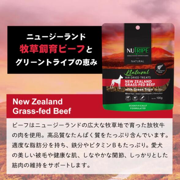 ニュートライプ ナチュラル エアードライ トリーツ ビーフwithグリーントライプ 100g