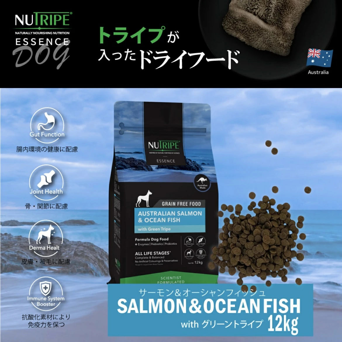 ニュートライプ ドックフード ドライ　サーモン＆フィッシュ＆グリーントライプ 12kg