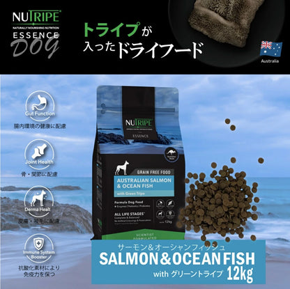 ニュートライプ ドックフード ドライ　サーモン＆フィッシュ＆グリーントライプ 12kg