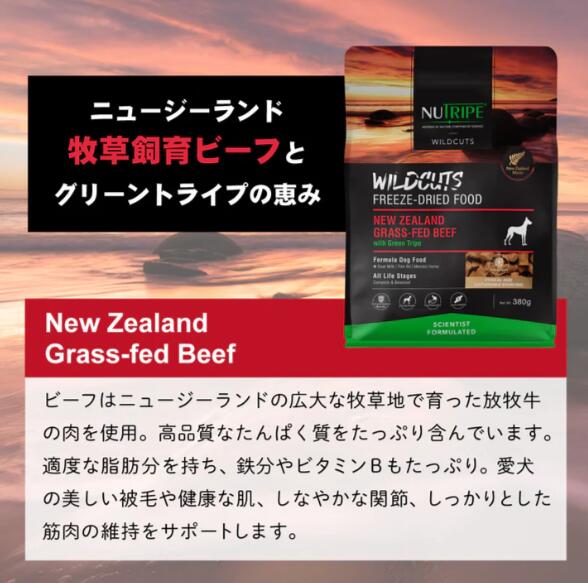 ニュートライプ ニュートライプ ワイルドカット フリーズドライ ビーフｗｉｔｈグリーントライプ 15g