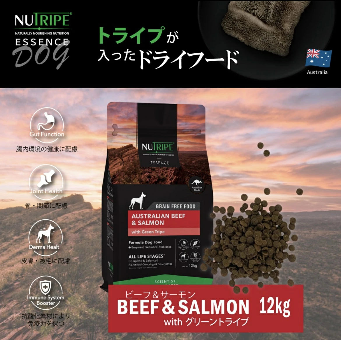 ニュートライプ ドックフード ドライ　ビーフ＆サーモン＆グリーントライプ 12kg