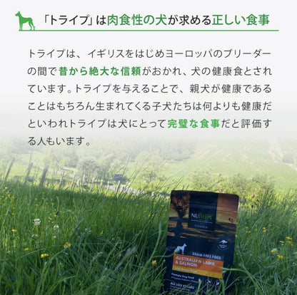 ニュートライプ ドックフード ドライ　ビーフ＆サーモン＆グリーントライプ 12kg