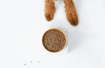 ネイチャーズプロテクション レッドコート (ラム アダルト) (サーモン アダルト) 1.5kg 2袋セット