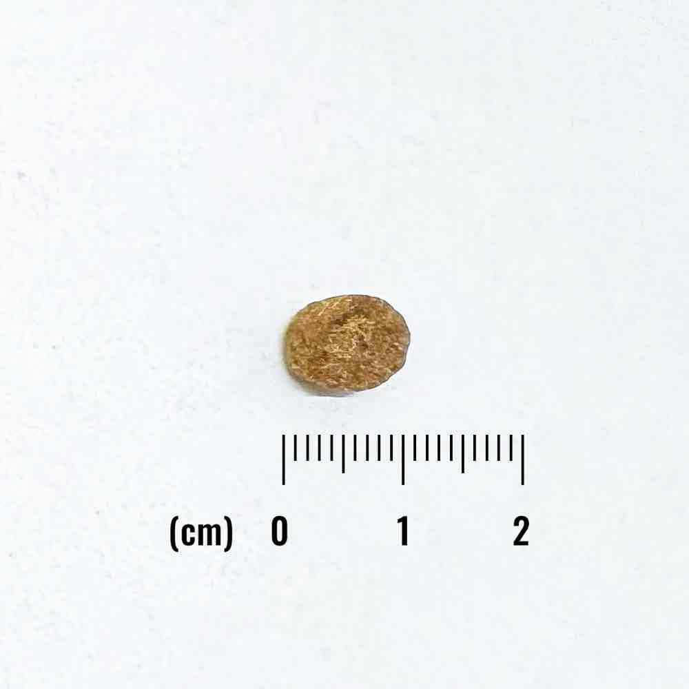 ナチュラルバランス LID 成犬用 サーモン&スイートポテトレシピ小粒 800g