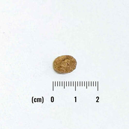 ナチュラルバランス LID 成犬用 サーモン&スイートポテトレシピ小粒 800g