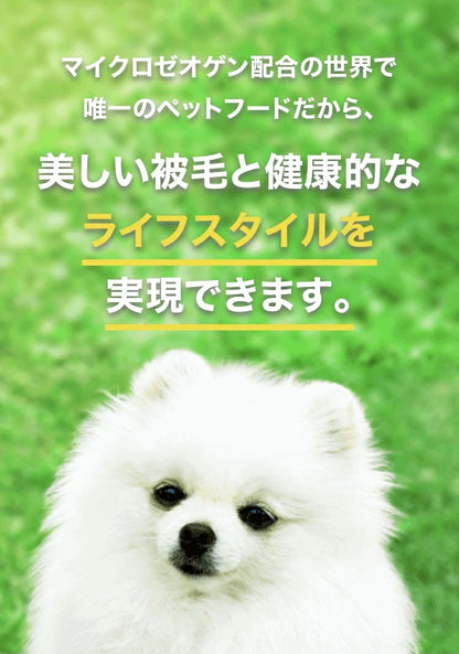 ホワイトドッグ ジュニア グレインフリー 1.5kg 2袋セット