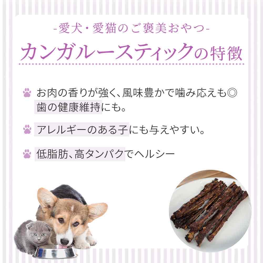 HOPE ホープ カンガルー スティック 50g