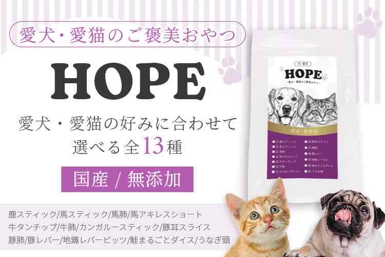 HOPE ホープ カンガルー スティック 50g