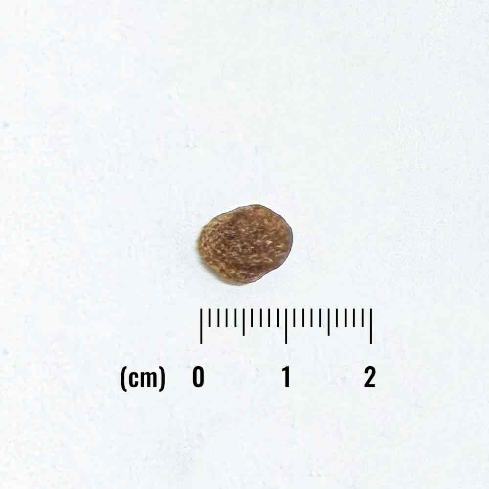 ナチュラルバランス LID RESERVE 成犬用 ダック&ポテトレシピ 小粒 1.8kg