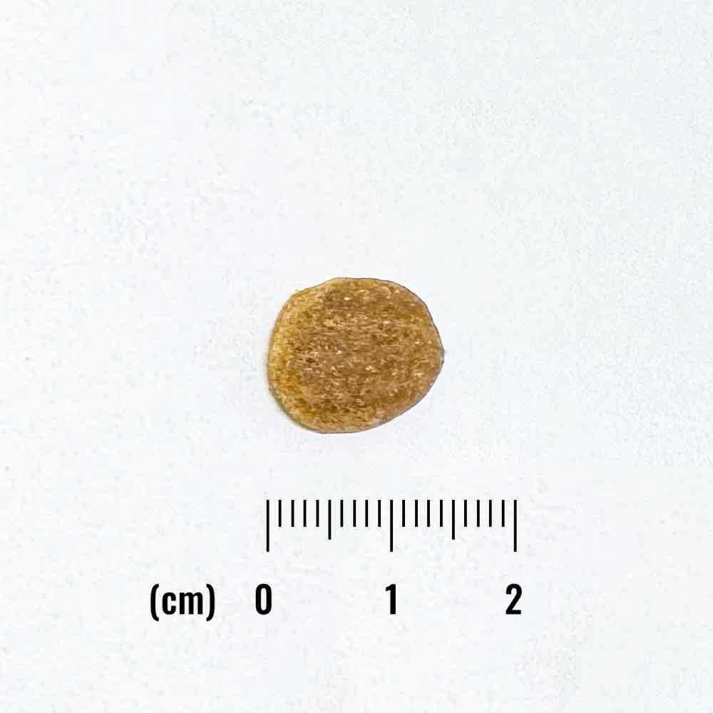 ナチュラルバランス LID RESERVE 成犬用 ダック&ポテトレシピ 150g (30g×5袋)