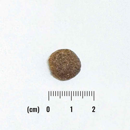 ナチュラルバランス LID RESERVE 成犬用 スイートポテト&バイソンレシピ 150g（30g×5袋）