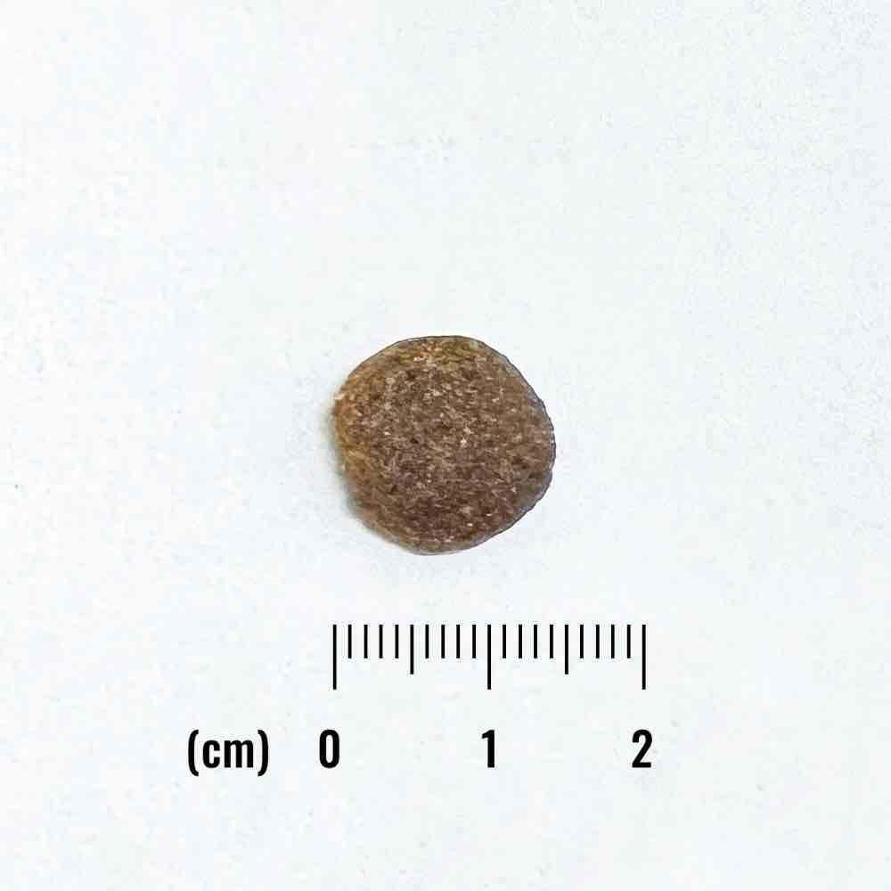 ナチュラルバランス LID RESERVE 成犬用 スイートポテト&バイソンレシピ 5kg