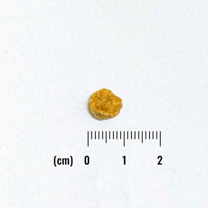 ナチュラルバランス LID 成犬用 ベジタリアンレシピ 小粒 2kg