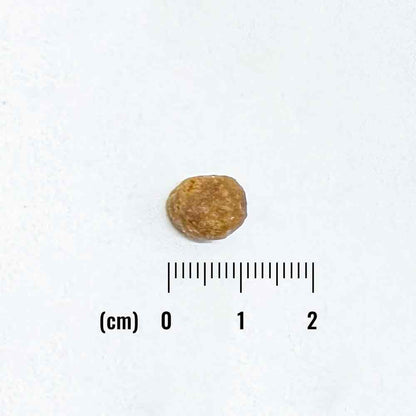 ナチュラルバランス LID 成猫用 サーモン&グリーンピースレシピ 150g（30g×5袋）